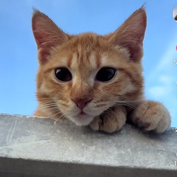 pubkskittlez_